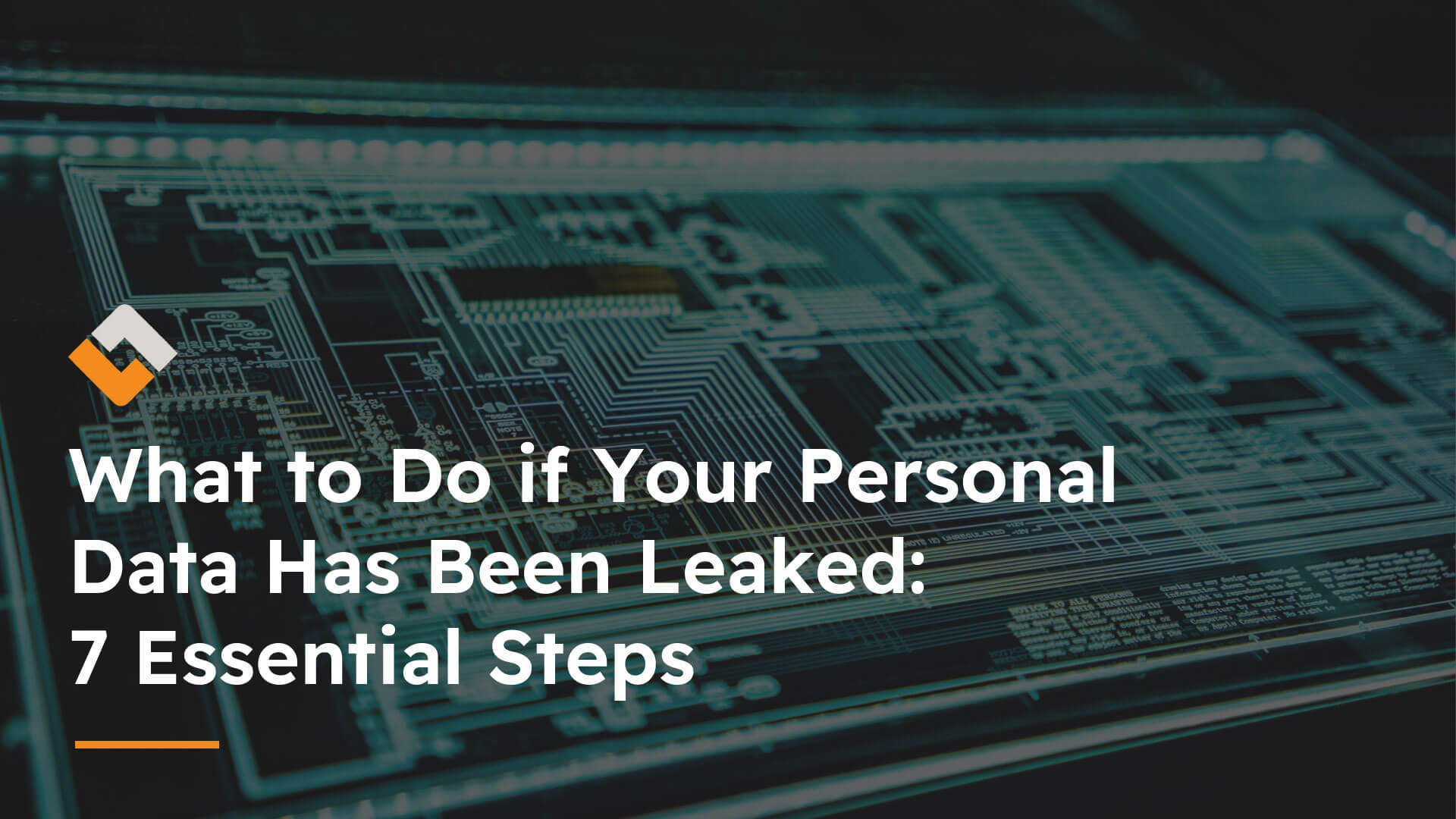 What to Do if Your Personal Data Has Been Leaked: 7 Essential Steps